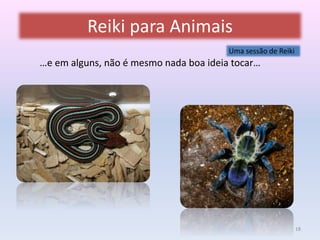 Reiki para Animais 
Uma sessão de Reiki 
…e em alguns, não é mesmo nada boa ideia tocar… 
18 
 