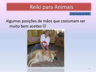 Reiki para Animais 
Uma sessão de Reiki 
Algumas posições de mãos que costumam ser 
muito bem aceites  
19 
 