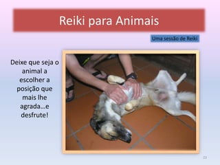 Reiki para Animais 
Deixe que seja o 
animal a 
escolher a 
posição que 
mais lhe 
agrada…e 
desfrute! 
Uma sessão de Reiki 
23 
 