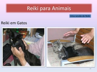 Reiki para Animais 
Reiki em Gatos 
Uma sessão de Reiki 
24 
 