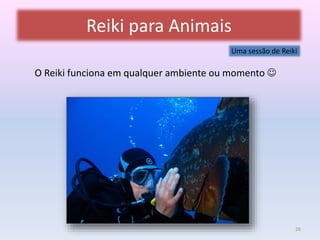 Reiki para Animais 
Uma sessão de Reiki 
O Reiki funciona em qualquer ambiente ou momento  
26 
 