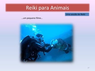 Reiki para Animais 
Uma sessão de Reiki 
27 
…um pequeno filme… 
 