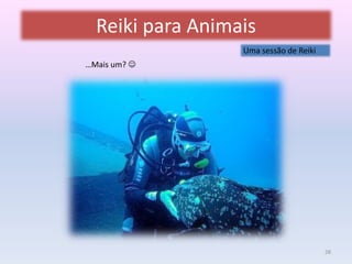 Reiki para Animais 
Uma sessão de Reiki 
28 
…Mais um?  
 