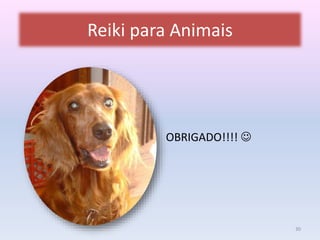 Reiki para Animais 
OBRIGADO!!!!  
30 
