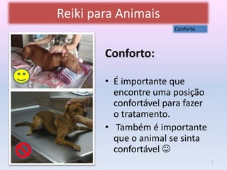 Reiki para Animais 
Conforto: 
Conforto 
• É importante que 
encontre uma posição 
confortável para fazer 
o tratamento. 
• Também é importante 
que o animal se sinta 
confortável  
7 
 