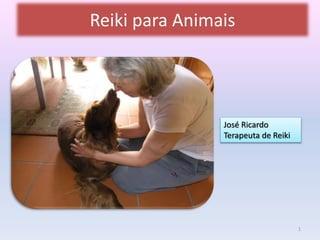 Reiki para Animais 
José Ricardo 
Terapeuta de Reiki 
1 
 