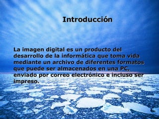 Introducción La imagen digital es un producto del desarrollo de la informática que toma vida mediante un archivo de diferentes formatos que puede ser almacenados en una PC, enviado por correo electrónico e incluso ser impreso. 