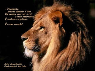 Rei leão