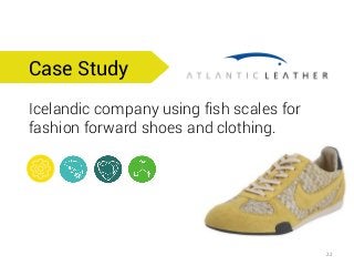 Case Study 
Icelandic company using fish scales for fashion forward shoes and clothing. 
22  