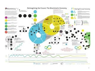 Reimagining the Future: The Biomimetic Economy