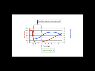 Possibilité de prise en charge précoce

4,0
3,5

100,0

3,0
80,0

2,5

60,0

2,0
1,5

40,0

1,0
20,0
0,0

0,5

0

1

2

3

4

5

6

Time (days)

Créatinine +

7

8

0,0

Serum Cr (mg/dL)

GFR (mL/min)

120,0

 