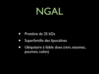 NGAL
•
•
•

Protéine de 25 kDa	

Superfamille des lipocalines	

Ubiquitaire à faible dose (rein, estomac,
poumon, colon)

 