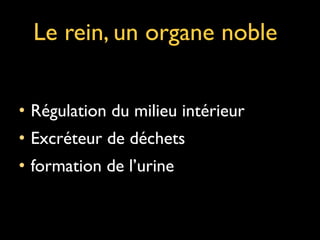 Le rein, un organe noble
• Régulation du milieu intérieur	

• Excréteur de déchets 	

• formation de l’urine

 
