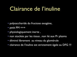 Clairance de l’inuline
• polysaccharide du fructose exogène, 	

• petit PM +++	

• physiologiquement inerte , 	

• non stockée par les tissus , non lié aux Pr plasma	

• éliminé librement au niveau du glomérule
• clairance de l'inuline est strictement égale au DFG !!!

 