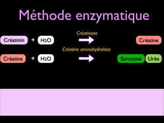 Méthode enzymatique
Créatinase

Créatinin

+ H2O

Créatine
Créatine aminohydrolase

Créatine

+ H2O

Sarcosine

Urée

 