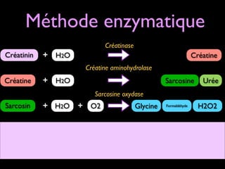 Méthode enzymatique
Créatinase

Créatinin

+ H2O

Créatine
Créatine aminohydrolase

Créatine

+ H2O

Sarcosine

Urée

Sarcosine oxydase

Sarcosin

+ H2O + O2

Glycine

Formaldéhyde

H2O2

 