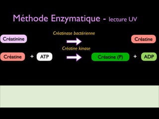 Méthode Enzymatique - lecture UV
Créatinase bactérienne

Créatinine

Créatine
Créatine kinase

Créatine

+

ATP

Créatine (P)

+

ADP

 