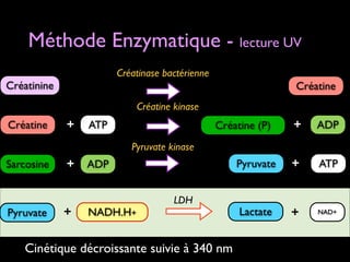 Méthode Enzymatique - lecture UV
Créatinase bactérienne

Créatinine

Créatine
Créatine kinase

Créatine

+

+

ADP

Pyruvate

ATP

+

ATP

Lactate

+

NAD+

Créatine (P)
Pyruvate kinase

Sarcosine

Pyruvate

+ ADP
+

NADH.H+

LDH

Cinétique décroissante suivie à 340 nm

 