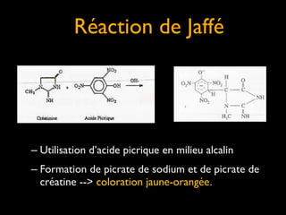 Réaction de Jaffé

– Utilisation d’acide picrique en milieu alcalin 	

– Formation de picrate de sodium et de picrate de
créatine --> coloration jaune-orangée.

 