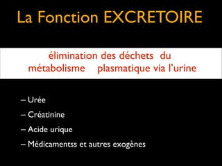 La Fonction EXCRETOIRE
élimination des déchets du
métabolisme plasmatique via l’urine
!
!

– Urée	

– Créatinine	

– Acide urique	

– Médicamentss et autres exogènes

 