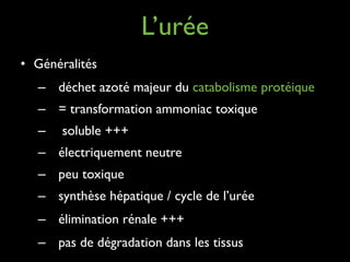 L’urée
• Généralités	

– déchet azoté majeur du catabolisme protéique	

– = transformation ammoniac toxique	

–

soluble +++	


– électriquement neutre 	

– peu toxique	

– synthèse hépatique / cycle de l’urée	

– élimination rénale +++	

– pas de dégradation dans les tissus

 
