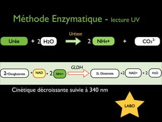 Méthode Enzymatique - lecture UV
Uréase

Urée

2-Oxoglutarate

+ 2 H2O

+ NAD +

2

2

NH4+

CO3 2-

+

GLDH
NH4+

2L Glutamate

+2

NAD+

Cinétique décroissante suivie à 340 nm
LABO

+2

H2O

 