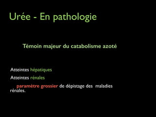 Urée - En pathologie	

Témoin majeur du catabolisme azoté
!
	


	

Atteintes

hépatiques 	


	

 	

Atteintes rénales

	


paramètre grossier de dépistage des maladies
rénales.	

	

 	


 