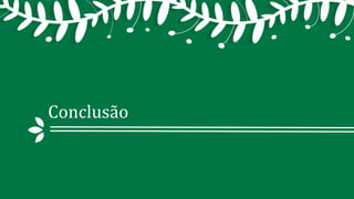 Conclusão
 