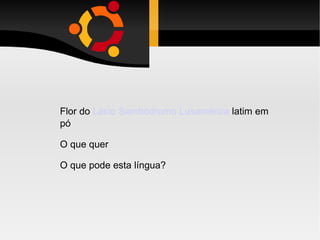 Flor do  Lácio   Sambódromo Lusamérica  latim em pó O que quer O que pode esta língua? 