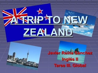 A TRIP TO NEWA TRIP TO NEW
ZEALANDZEALAND
Javier Reina SánchezJavier Reina Sánchez
Inglés IIInglés II
Tarea III. GlobalTarea III. Global
 