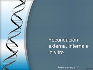 Fecundación
externa, interna e
in vitro
Reiner Serrano 5 “A”
 