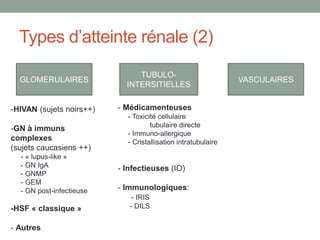 Types d’atteinte rénale (2)
GLOMERULAIRES
TUBULO-
INTERSITIELLES
VASCULAIRES
-HIVAN (sujets noirs++)
-GN à immuns
complexes
(sujets caucasiens ++)
- « lupus-like »
- GN IgA
- GNMP
- GEM
- GN post-infectieuse
-HSF « classique »
- Autres
- Médicamenteuses
- Toxicité cellulaire
tubulaire directe
- Immuno-allergique
- Cristallisation intratubulaire
- Infectieuses (IO)
- Immunologiques:
- IRIS
- DILS
 