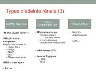 Types d’atteinte rénale (3)
GLOMERULAIRES
TUBULO-
INTERSITIELLES
VASCULAIRES
-HIVAN (sujets noirs++)
-GN à immuns
complexes
(sujets caucasiens ++)
- « lupus-like »
- GN IgA
- GNMP
- GEM
- GN post-infectieuse
-HSF « classique »
- Autres
- Médicamenteuses
- Toxicité cellulaire
tubulaire directe
- Immuno-allergique
- Cristallisation intratubulaire
- Infectieuses (IO)
- Immunologiques:
- IRIS
- DILS
- Néphro-
angiosclérose
- MAT…
 
