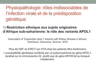 Physiopathologie: rôles indissociables de
l’infection virale et de la prédisposition
génétique
1) Restriction ethnique aux sujets originaires
d’Afrique sub-saharienne: le rôle des variants APOL1
Association of Trypanolytic ApoL1 Variants with Kidney Disease in African-
Americans, Genovese, Science. 2010
Plus de HSF et d’IRCT sur HTA chez les patients Afro-Américains
= susceptibilité génétique conférée par un polymorphisme du gène APOL1,
localisé sur le chromosome 22, plutôt que du gène MYH9 tel qu’évoqué
initialement.
 