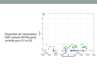 - Disparition de l’association
HSF-variants MYH9 après
contrôle pour G1 et G2
 