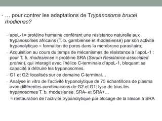 • … pour contrer les adaptations de Trypanosoma brucei
rhodiense?
- apoL-1= protéine humaine conférant une résistance naturelle aux
trypanosomes africains (T. b. gambiense et rhodesiense) par son activité
trypanolytique = formation de pores dans la membrane parasitaire;
- Acquisition au cours du temps de mécanismes de résistance à l’apoL-1 :
pour T. b. rhodesiense = protéine SRA (Serum Resistance-associated
protein), qui interagit avec l’hélice C-terminale d’apoL-1, bloquant sa
capacité à détruire les trypanosomes.
- G1 et G2: localisés sur ce domaine C-terminal…
- Analyse in vitro de l’activité trypanolytique de 75 échantillons de plasma
avec différentes combinaisons de G2 et G1: lyse de tous les
trypanosomes T. b. rhodesiense, SRA- et SRA+…
= restauration de l’activité trypanolytique par blocage de la liaison à SRA
 