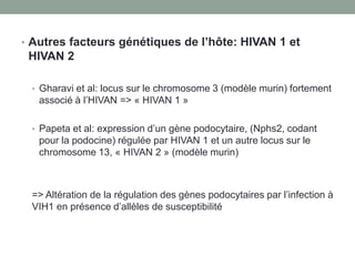 • Autres facteurs génétiques de l’hôte: HIVAN 1 et
HIVAN 2
• Gharavi et al: locus sur le chromosome 3 (modèle murin) fortement
associé à l’HIVAN => « HIVAN 1 »
• Papeta et al: expression d’un gène podocytaire, (Nphs2, codant
pour la podocine) régulée par HIVAN 1 et un autre locus sur le
chromosome 13, « HIVAN 2 » (modèle murin)
=> Altération de la régulation des gènes podocytaires par l’infection à
VIH1 en présence d’allèles de susceptibilité
 