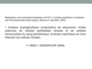 Replication and compartmentalization of HIV-1 in kidney epithelium of patients
with HIV-associated nephropathy. Marras D, Nat Med. 2002
= Analyse phylogénétique comparative de séquences virales
obtenues de cellules épithéliales rénales et de cellules
mononuclées du sang périphérique: évolution spécifique du virus
infectant les cellules rénales.
=> REIN = RESERVOIR VIRAL
 