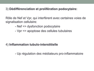 3) Dédifférenciation et prolifération podocytaire:
Rôle de Nef et Vpr, qui interfèrent avec certaines voies de
signalisation cellulaire:
- Nef => dysfonction podocytaire
- Vpr => apoptose des cellules tubulaires
4) Inflammation tubulo-interstitielle
- Up régulation des médiateurs pro-inflammatoire
 