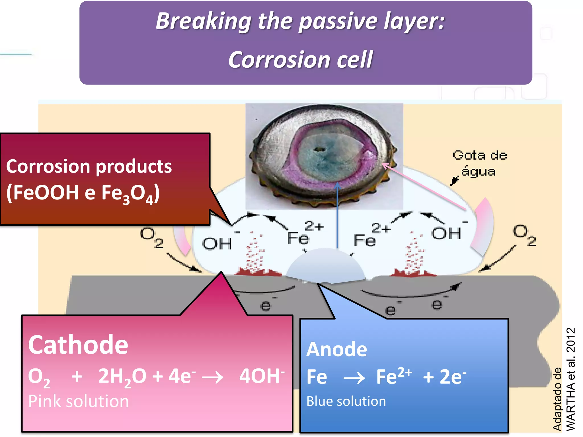 Adaptadode
WARTHAetal.2012
Anode
Fe  Fe2+ + 2e-
Blue solution
Cathode
O2 + 2H2O + 4e-  4OH-
Pink solution
Corrosion products
(FeOOH e Fe3O4)
Breaking the passive layer:
Corrosion cell
 