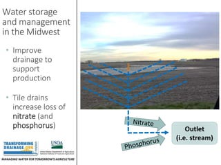 MANAGING WATER FOR TOMORROW’S AGRICULTURE
Water storage
and management
in the Midwest
• Improve
drainage to
support
production
• Tile drains
increase loss of
nitrate (and
phosphorus) Outlet
(i.e. stream)
 