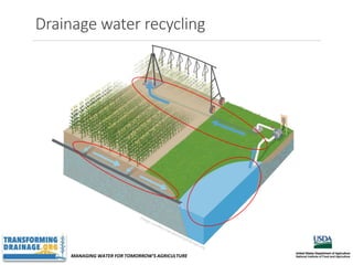 MANAGING WATER FOR TOMORROW’S AGRICULTURE
Drainage water recycling
 