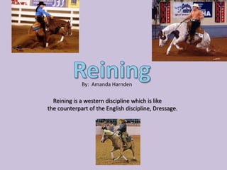 By: Amanda Harnden

  Reining is a western discipline which is like
the counterpart of the English discipline, Dressage.
 