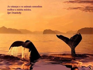 As crianças e os animais entendem melhor a minha música. Igor Strawinsky  