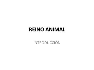 REINO ANIMAL
INTRODUCCIÓN
 