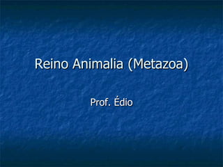 Reino Animalia (Metazoa) Prof. Édio 