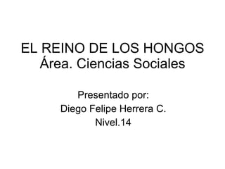 EL REINO DE LOS HONGOS Área. Ciencias Sociales Presentado por: Diego Felipe Herrera C. Nivel.14 