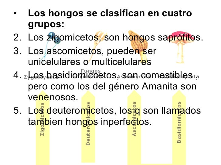 El medio público de las lombrices a los niños de 12 años