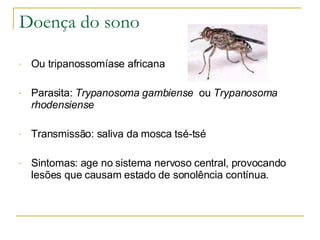 Doença do sono Ou tripanossomíase africana Parasita:  Trypanosoma gambiense  ou  Trypanosoma rhodensiense Transmissão: saliva da mosca tsé-tsé Sintomas: age no sistema nervoso central, provocando lesões que causam estado de sonolência contínua. 