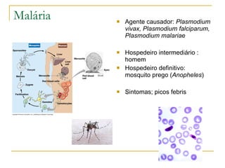 Malária Agente causador:  Plasmodium vivax, Plasmodium falciparum, Plasmodium malariae Hospedeiro intermediário : homem Hospedeiro definitivo: mosquito prego ( Anopheles ) Sintomas; picos febris 